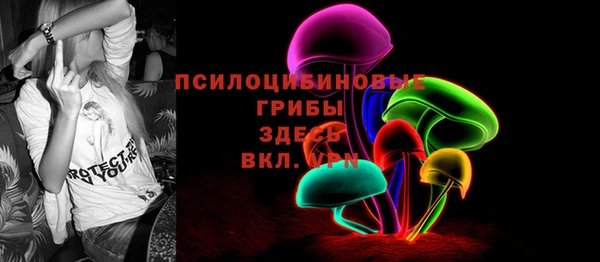 не бодяженный Верхний Тагил