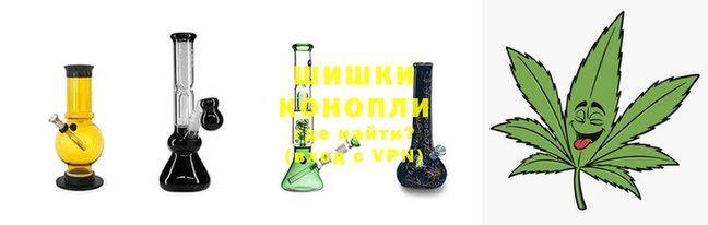 гидра Бронницы