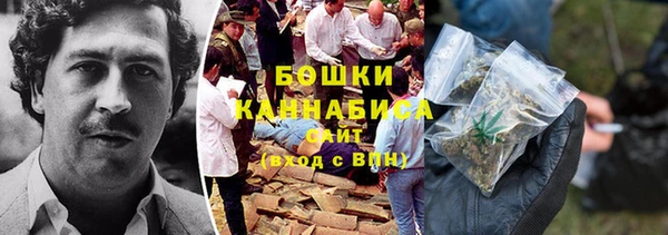гидра Бронницы