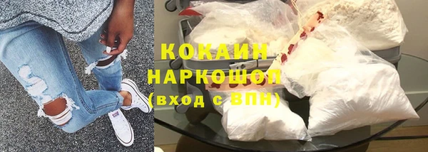 гидра Бронницы