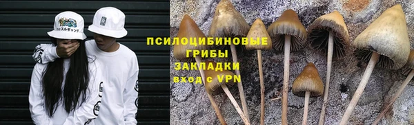 синтетический гашиш Бородино